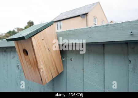 Oiseau en bois fait maison et boîte de nidification vus attaché à une clôture peinte. Banque D'Images