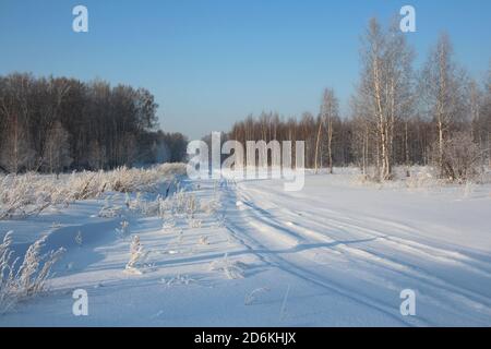 Route étroite en hiver avec des traces de traîneau à travers la piste de ski de la forêt par une journée d'hiver claire Banque D'Images