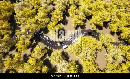 Circulation automobile jaune automne forêt nature route paysage. Belle nature d'automne vue de dessus rendu 3d Banque D'Images