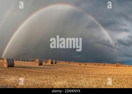 Un arc-en-ciel multicolore sur un champ de blé en pente avec grand rouleaux de paille Banque D'Images