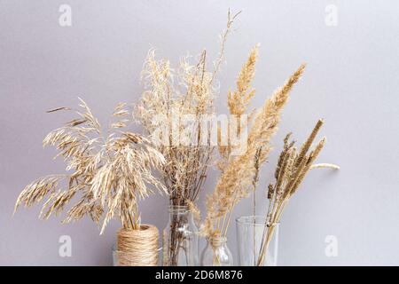 Faites sécher les épillets et les herbes dans des vases en verre sur fond gris. Fleurs séchées. Banque D'Images