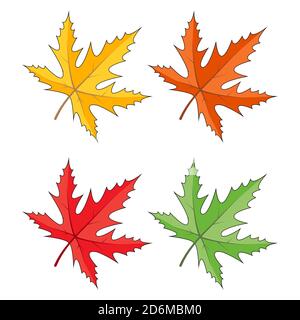 Ensemble d'icônes de feuilles d'érable isolé sur blanc. Clipart de saison dans des couleurs vives. Jaune, orange, rouge, vert, couleurs. Illustration du feuillage vecteur d'automne. Co Illustration de Vecteur