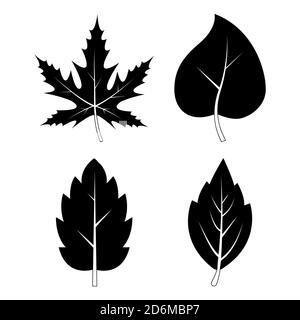 Collection de symboles d'automne des silhouettes de feuilles. Ensemble de feuilles automnales noires et blanches isolées sur blanc. Vecteur noir de la silhouette du feuillage. JE Illustration de Vecteur