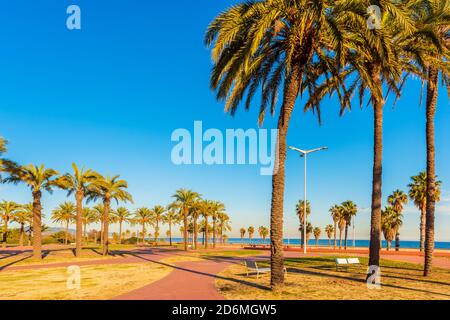 Parc public près de la mer Méditerranée à Barcelone Espagne Banque D'Images