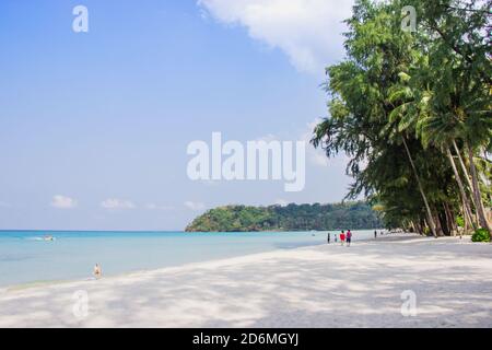 Promenade touristique admirez le panorama de la plage de sable blanc avec des cocotiers pris sur haad Klong Chao sur l'île tropicale de koh Kood à Trat, en Thaïlande. Banque D'Images