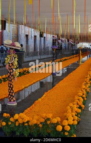 À Morelia, au Mexique, le jour des morts est célébré avec des marigolds, des marchés et des œuvres d'art dans toute la ville. Banque D'Images