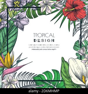 Cadre tropical avec feuilles de palmier vertes et orchidée, hibiscus, strelitzia, plumeria, calla, fleurs de nénuphars. Illustration d'esquisse vectorielle dessinée à la main. Affiche, Illustration de Vecteur