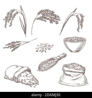 Épillets de céréales de riz, grain dans un sac et porridge dans un bol. Illustration d'esquisse vectorielle. Éléments de conception isolés dessinés à la main. Illustration de Vecteur