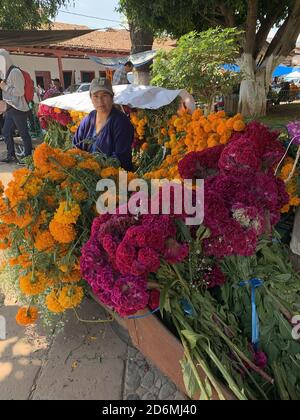 Situé à 20 minutes de Patzcuaro, Erongaricuaro (qui signifie « lieu d'attente » en langue Purepecha), célèbre le jour des morts du Mexique. Banque D'Images