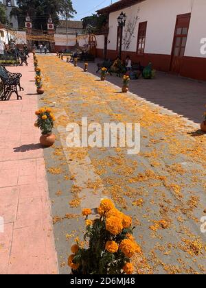 Situé à 20 minutes de Patzcuaro, Erongaricuaro (qui signifie « lieu d'attente » en langue Purepecha), célèbre le jour des morts du Mexique. Banque D'Images