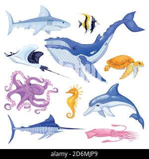 Ensemble animaux de mer et d'océan. Dessin animé vectoriel de poissons marins. Jolis personnages sous-marins colorés isolés sur fond blanc. Illustration de Vecteur