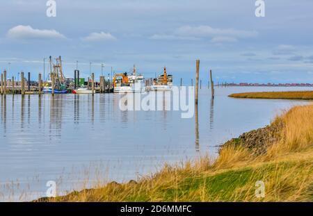 Le Neßmersiel est situé directement sur la mer du Nord, dans la Frise orientale. Les ferries dans les petits ports de ferry amènent des passagers à l'île de Baltrum. Banque D'Images