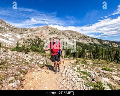 Trekking sur la piste Colorado Trail de 485 miles, Colorado Banque D'Images