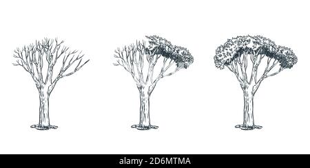 Concept d'arbre mort et de vie. Illustration d'esquisse vectorielle dessinée à la main. Séchez l'arbre d'un côté et l'arbre avec le feuillage de l'autre côté. Illustration de Vecteur