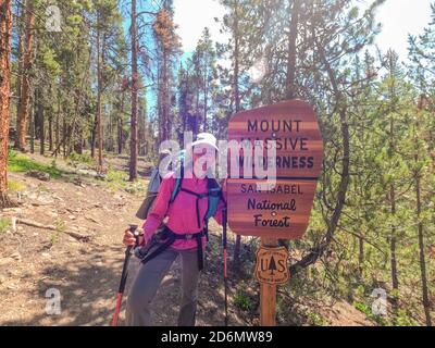 Trekking sur la piste Colorado Trail de 485 miles, Colorado Banque D'Images