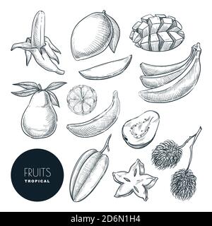 Bananes et autres fruits exotiques tropicaux. Illustration d'esquisse vectorielle. Ensemble d'éléments de conception dessinés à la main et d'icônes. Une collection de plats naturels savoureux. Illustration de Vecteur