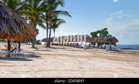 Plage vide du complexe avec palmiers et rangée de chaises longues sous des parasols sur fond flou de la côte atlantique de l'océan. Banque D'Images