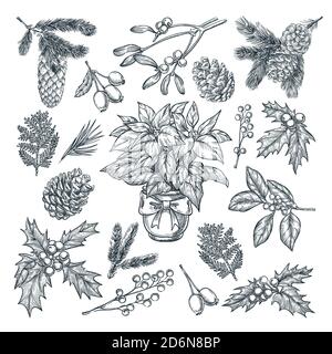 Décoration cadeau et carte de voeux pour le nouvel an ou Noël. Forfaits vacances d'hiver et fleurs. Ensemble d'éléments de décoration et de design, isolé sur fond blanc Illustration de Vecteur