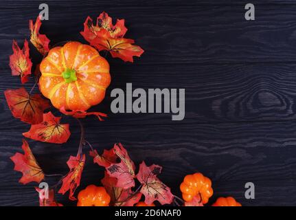 Feuillage d'automne avec citrouilles décoratives sur bois. Banque D'Images