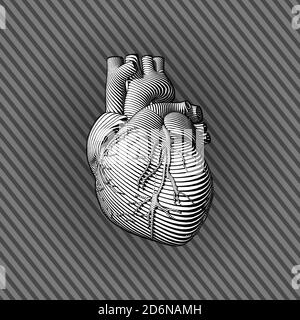 Gravure du cœur humain avec trait d'art monochrome sur la ligne d'écoulement illusion - arrière-plan rayé Banque D'Images