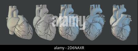 Cœur humain vectoriel en style d'ombrage 3D avec élément filaire triangulaire dans divers points de vue et éclairage isolés sur fond gris Banque D'Images