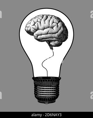 Cerveau à l'intérieur de l'ampoule de lumière noir et blanc gravure dessin style isolé sur fond gris Banque D'Images