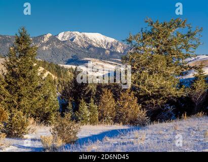 la chaîne de greenhorn en hiver, vue depuis les contreforts au-dessus de la vallée de la rubis près de l'aulne, montana Banque D'Images