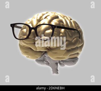 Golden 3D cerveau et lunettes de vue photo rendu réaliste dans vue de face isolée sur fond gris avec masque pour une utilisation en arrière-plan Banque D'Images