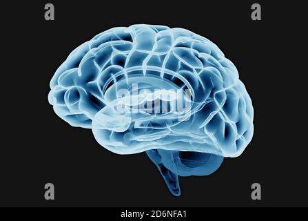 Illustration 3D du cerveau de radiographie ou d'acquisition isolée sur un arrière-plan sombre avec masque pour découpe à utiliser dans n'importe quel toile de fond Banque D'Images