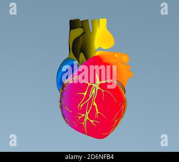 Illustration 3D colorée et plate du cœur humain avec plusieurs couleurs pour section de la pièce sur fond gris avec masque à utiliser dans n'importe quelle toile de fond Banque D'Images