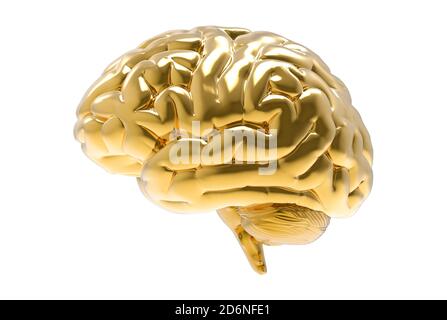 Illustration 3D de rendu du cerveau doré isolée sur fond blanc avec chemin d'écrêtage pour découpe à utiliser dans n'importe quel arrière-plan Banque D'Images