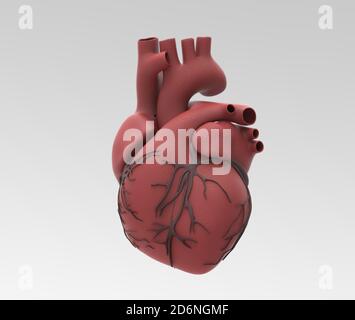 3D caoutchouc coeur humain avec veines noires illustration isolée sur arrière-plan gris clair avec un masque pour la découpe à utiliser dans n'importe quelle toile de fond Banque D'Images