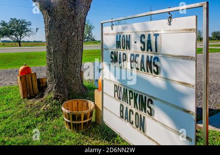 Des citrouilles et d'autres produits saisonniers sont exposés au McKenzie Farm Market, le 17 octobre 2020, à Fairhope, en Alabama. Banque D'Images