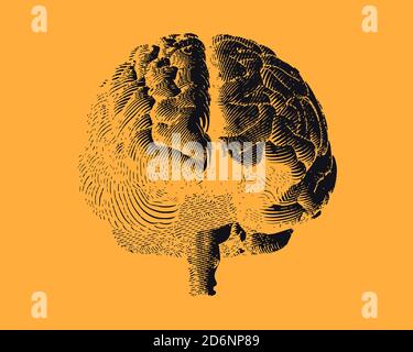 Vue avant du dessin de la gravure noire du cerveau isolée sur orange jaune arrière-plan Banque D'Images