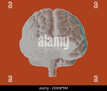 Gravure négative dessin cerveau en vue de face avec ligne d'écoulement art isolé sur fond orange Banque D'Images