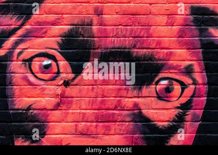 Gros plan de la fresque de chien rouge de l'artiste de rue DS à Shoreditch, est de Londres, Royaume-Uni Banque D'Images