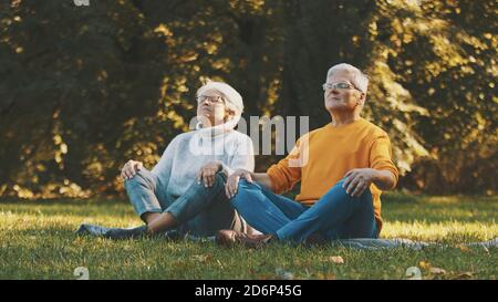 Concept de bien-être. Portrait d'un couple retraité senior heureux méditant dans le parc d'automne. Photo de haute qualité Banque D'Images