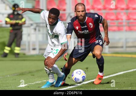 Hamed Junior Traore (L) de Sassuolo et Lorenzo de Silvestri de Bologne en action pendant le match de football italien Serie A Bologna FC vs U.S. Sassuolo at Banque D'Images