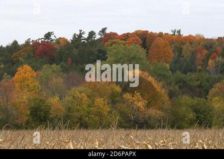 Temps d'automne en Ontario Banque D'Images