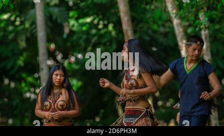 Tena, Napo / Equateur - octobre 10 2020: Groupe de jeunes dansant avec les costumes typiques des groupes ethniques de l'Amazone équatorienne dans un parc Banque D'Images