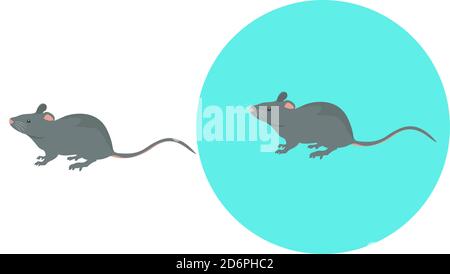 Petite souris, illustration, vecteur sur fond blanc. Illustration de Vecteur