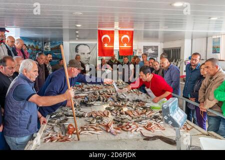 Divers poissons frais à vendre aux enchères de fruits de mer au marché de poissons Alacati, Turquie. Banque D'Images