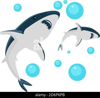 Deux requins, illustration, vecteur sur fond blanc. Illustration de Vecteur