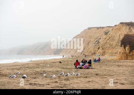 Vue panoramique sur Drakes Beach, point Reyes National Seashore, Marin County, Californie, par une journée de brouillard. Banque D'Images