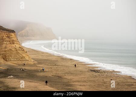 Vue panoramique sur Drakes Beach, point Reyes National Seashore, Marin County, Californie, par une journée de brouillard. Banque D'Images