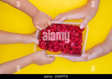 enfants tenant des framboises dans un contenant, vue du dessus Banque D'Images
