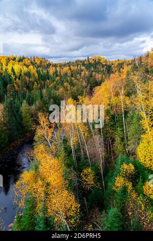 Couleur du feuillage d'automne au parc provincial Sleeping Giant, Thunder Bay, Ontario, Canada. Banque D'Images