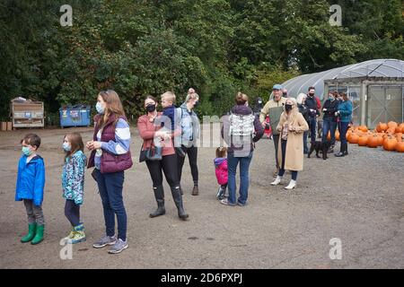 La ligne de caisse de la zone annuelle Pumpkin à Fir point Farms, à Aurora, en Oregon, le samedi 17 octobre 2020, au cours d'une saison d'automne pandémique. Banque D'Images