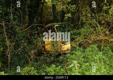 Octobre 2020 - ancienne machine jaune perdue dans les bois Banque D'Images