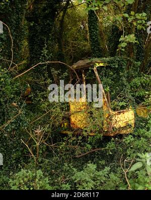 Octobre 2020 - ancienne machine jaune perdue dans les bois Banque D'Images